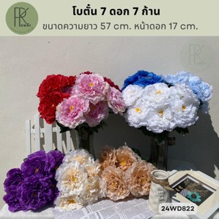 โบตั๋น 7 ดอก 7 ก้าน ขนาดความยาว 57 cm. หน้าดอก 17 cm.