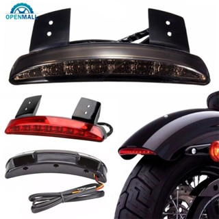 Openmall ไฟเบรกท้ายรถจักรยานยนต์ LED สําหรับ Touring Sportster XL 883 1200 I6X2