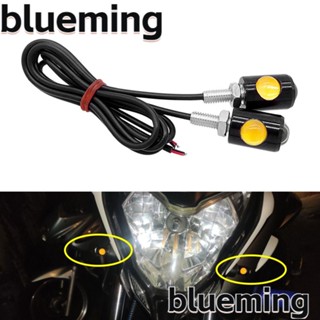 Blueming2 ไฟเลี้ยวติดป้ายทะเบียนรถยนต์ รูปตานกอินทรีย์ ขนาดเล็ก พร้อมสกรู 2 ชิ้น