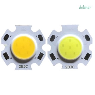 Delmer ไฟฉาย LED พลังงานสูง 3W 5W 7W 10W ชิป COB DIY