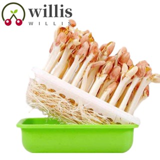 Willis ถาดเพาะเมล็ดถั่วงอก กระเทียม ไฮโดรโปนิก ทําความสะอาดง่าย ระบายอากาศ