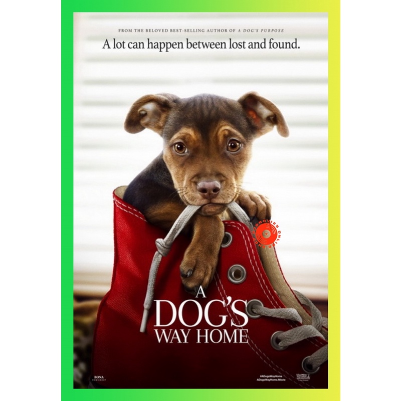 NEW DVD A Dog s Way Home (2019) เพื่อนรักผจญภัยสี่ร้อยไมล์ (เสียง ไทย/อังกฤษ ซับ ไทย/อังกฤษ) DVD NEW Movie