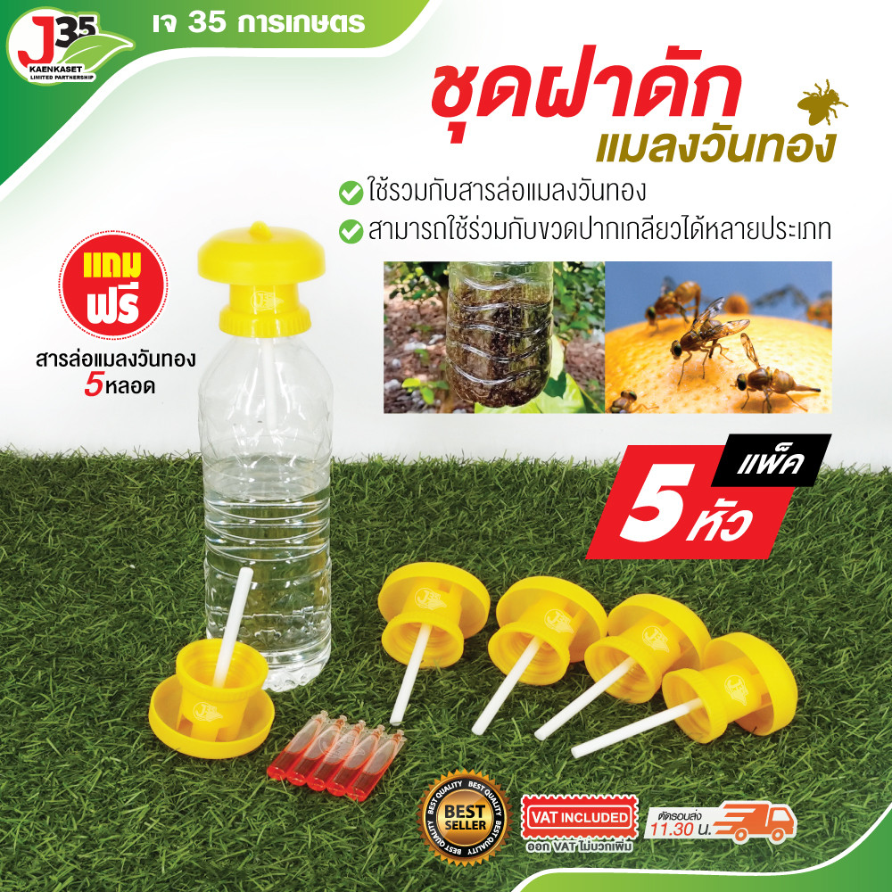 (5ชุด) ชุดฝากับดักแมลงวันทอง (แถมฟรีสารล่อแมลงวันทอง 5 หลอด) ที่ล่อแมลงวันทอง กับดักแมลงวันทอง