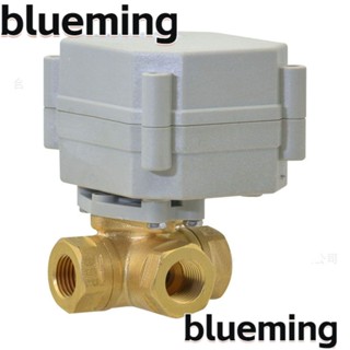 Blueming2 วาล์วบอลมอเตอร์ ทองเหลือง สีทอง 12V 24VAC DC 3/8 นิ้ว