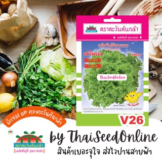 ADV ซฟ เมล็ดพันธุ์ ผักกาดหอม ศรีทอง ตราตะวันต้นกล้า V26