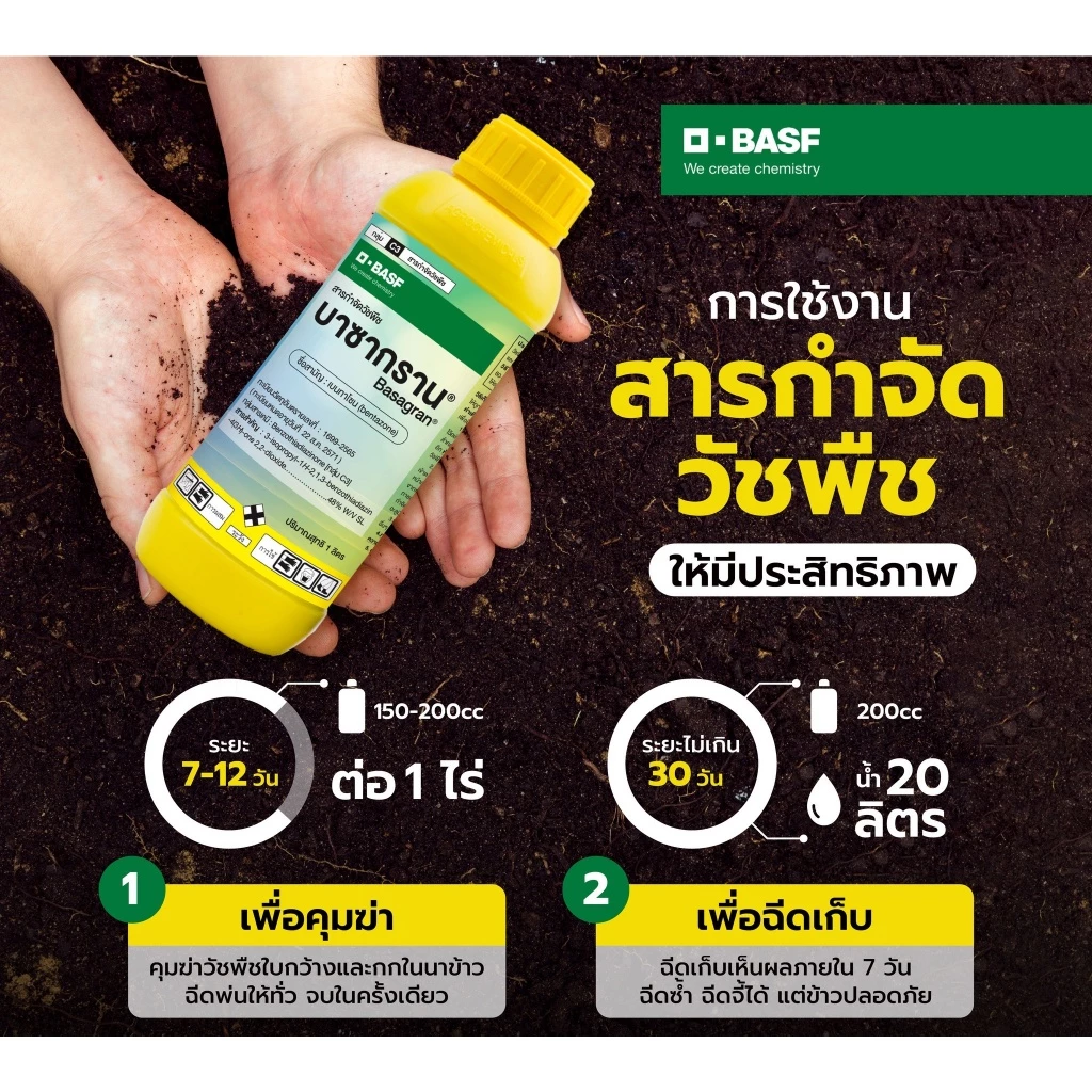 บาซากราน ยากำจัดหญ้า หนวดแมว แห้วหมู ต้นกกทุกชนิด ต้นปรือ ฉีดจี้ข้าวไม่แดงไม่อาน หญ้าตายดีใน 7 วัน