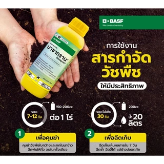 บาซากราน ยากำจัดหญ้า หนวดแมว แห้วหมู ต้นกกทุกชนิด ต้นปรือ ฉีดจี้ข้าวไม่แดงไม่อาน หญ้าตายดีใน 7 วัน