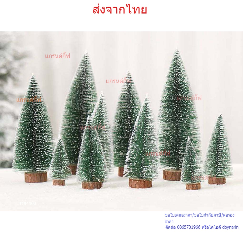 ต้นคริสมาส ขนาดเล็ก 10*5 cm 15*6cm 20*8cm 25*10cm 30*12cm มีพร้อมส่ง สามารถเก็บเงินปลายทางได้