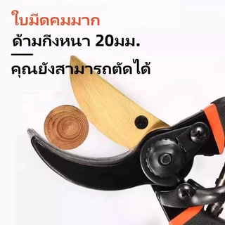 กรรไกรตัดกิ่งเหล็ก/กรรไกรตัดกิ่งต้นไม้ผลไม้/กรรไกรตัดกิ่งองุ่นและดอกไม้ในครัวเรือน/กรรไกรตัดกิ่งต้นไม้ผลไม้