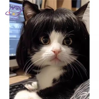 [อาจโฮม] วิกผมแมวตลก Trimmable วิกผมสัตว์เลี้ยงอุปกรณ์วิกผมส…