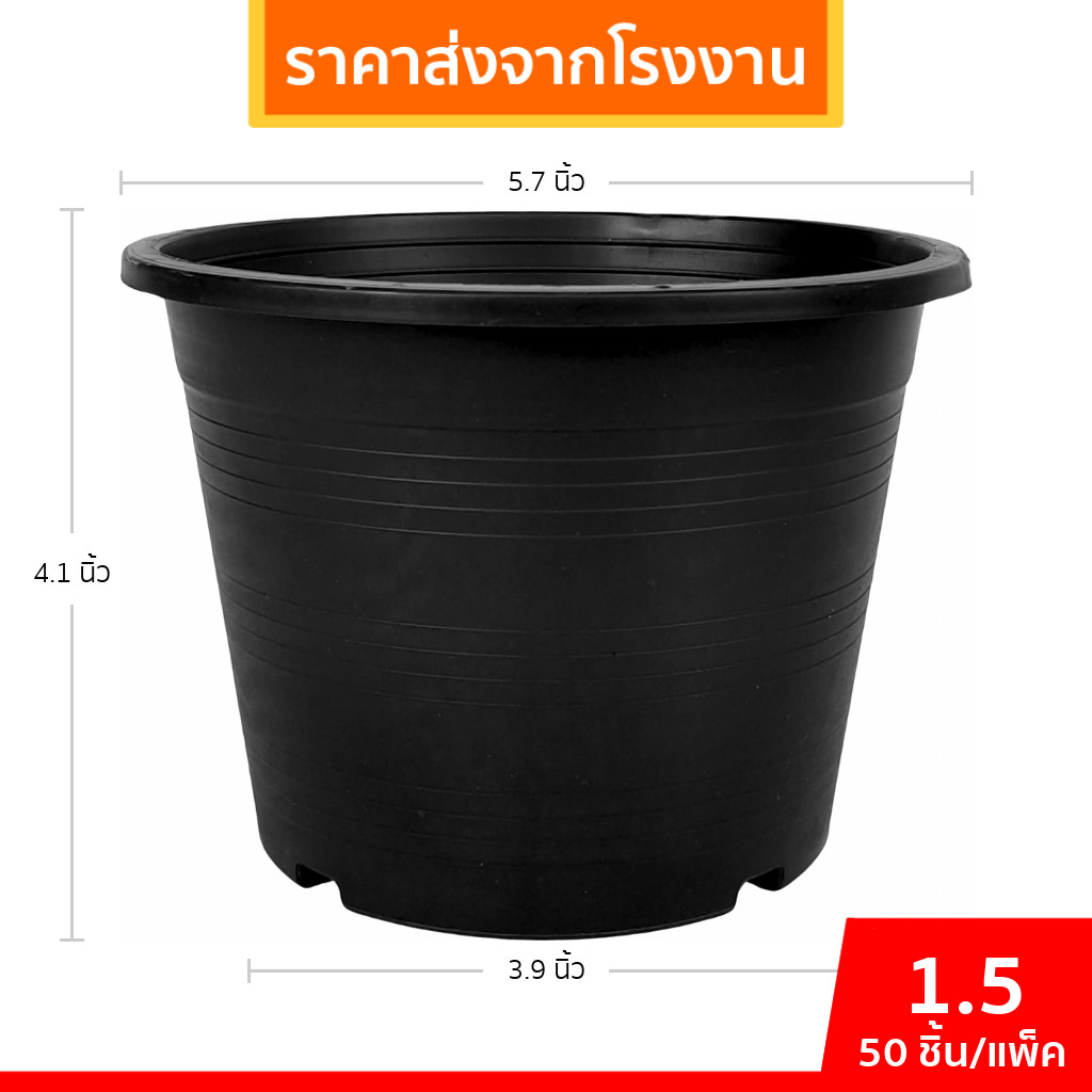 กระถาง กระถางต้นไม้ กระถางพลาสติก เบอร์ 6 5.7 นิ้ว สีดำ 50 ใบ ยกมัด ยกกระสอบ