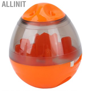 Allinit Pet  Dispensing Ball Bite Resistant Interactive Slow Feeder Dog Memory Tr HG