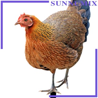 [Sunnimix] ป้ายรูปปั้นไก่ สําหรับสวนหลังบ้าน ฟาร์ม