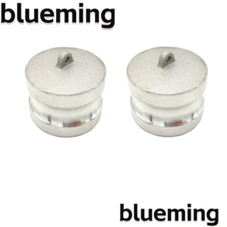 Blueming2 ปลั๊กกันฝุ่น ตัวผู้ 1 นิ้ว สเตนเลส 304 สีเงิน น้ําหนักเบา 1 นิ้ว 2 ชิ้น