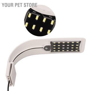 Your Pet Store Clip On Aquarium Light 24 ลูกปัด Mini LED โคมไฟสำหรับถังปลาอุปกรณ์เสริม UK Plug 220V