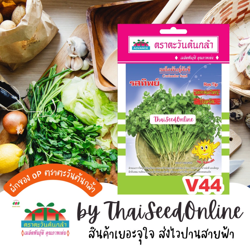 Advance Seeds(ตราตะวันต้นกล้า) ADVOP ซฟ เมล็ดพันธุ์ ผักชีรสทิพย์ 10กรัม ประมาณ 1300 เมล็ด หอมป้อม หอมป้อมใหญ่ ตราตะวั...