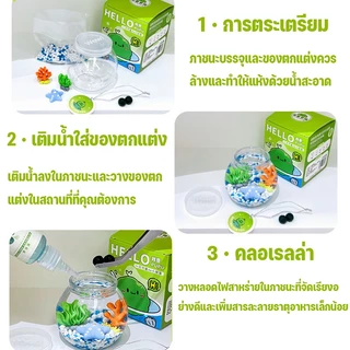 พร้อมส่ง✅ Marimo มาริโมะ เซ็ทพร้อมขวดแก้ว เหมาะสำหรับให้เป็นของขวัญสำหรับคนที่รัก