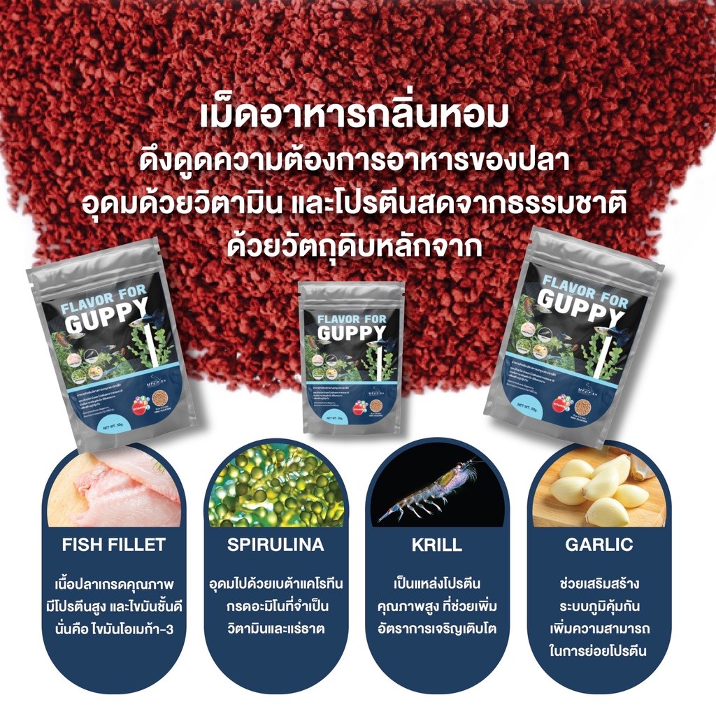 อาหารปลาหางนกยูง FLAVOR FOR GUPPY 50g. โปรตีนสูง อุดมด้วยวิตามิน ช่วยให้ปลาเติบโต แข็งแรง สีสันสวยงาม รูปที่ 2