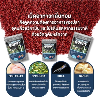 อาหารปลาหางนกยูง FLAVOR FOR GUPPY 50g. โปรตีนสูง อุดมด้วยวิตามิน ช่วยให้ปลาเติบโต แข็งแรง สีสันสวยงาม