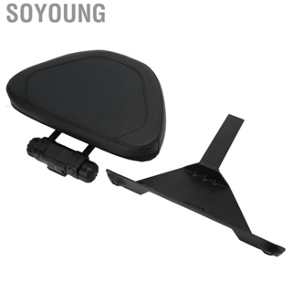 Soyoung Motorcycle Backrest Water Resistant   for Motorbike Accessories