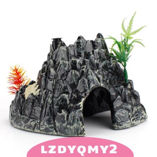 [Lzdyqmy2] ของเล่นวิทยาศาสตร์ เสริมการเรียนรู้เด็ก DIY