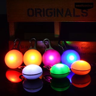 [COD]♞ปลอกคอ พร้อมไฟ LED เรืองแสง เพื่อความปลอดภัย สําหรับสัตว์เลี้ยง สุนัข แมว