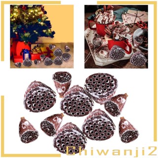 [Chiwanji2] ดอกไม้แห้งธรรมชาติ สําหรับงานฝีมือ พร็อพถ่ายภาพ 10 ชิ้น