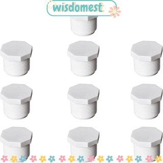 Wisdomest ปลั๊ก PVC ตัวผู้ 20 มม. สีขาว 10 ชิ้น