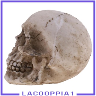 [Lacooppia1] โมเดลหัวกะโหลกมนุษย์ โครงกระดูก เรซิน ของเล่น ของขวัญวันหยุด สําหรับฮาโลวีน 1 ชิ้น