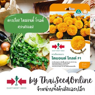 GGEW เมล็ดพันธุ์ ดาวเรืองกระถาง ไดมอนด์ โกลด์ 20เมล็ด ตราศรแดง Gold Potted Marigold