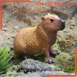 [Sharprepublic] ฟิกเกอร์ Capybara ของเล่นวิทยาศาสตร์ เพื่อการศึกษา สําหรับเด็ก