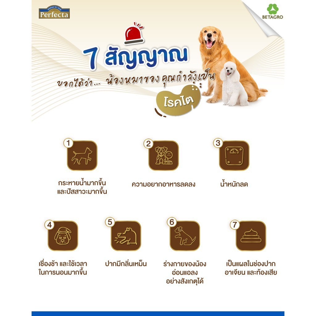 อาหารสุนัข Perfecta (เพอเฟคต้า) สูตรพิเศษ มี 3สูตร 1. Renal Care 2kg 2. Weight Care 2kg 3. Skincare 2kg - รูปที่ 2
