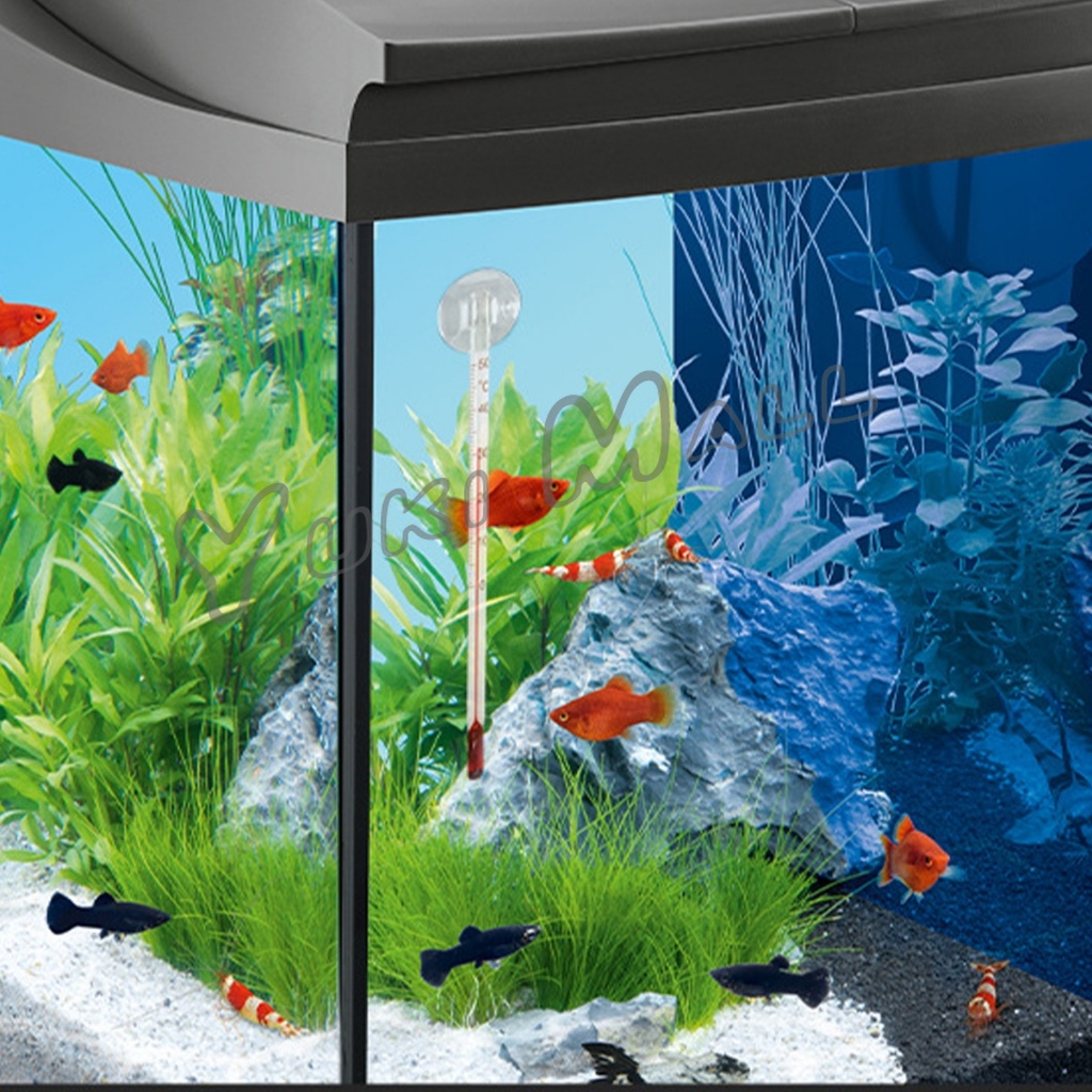 Yuki เทอร์โมมิเตอร์ตู้ปลา ปรอทวัดอุณหภูมิน้ำในตู้ปลา แบบติดกระจก Aquarium Thermometer - รูปที่ 6