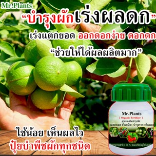 📢 ปุ๋ยน้ำบำรุงผักทุกชนิด พริก มะนาว บำรุงต้นใบดอกผล ต้นอวบใหญ่ ออกดอกง่าย ต้นไม่โต รากเน่า เพิ่มใบ ใบใหญ่หนา