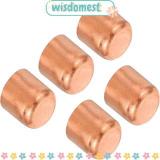 Wisdomest จุกปิดปลายท่อทองแดง ตัวผู้ ตัวเมีย 13×20 มม. สีชมพู 5 ชิ้น