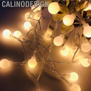 Calinodesign Outdoor String Lights  Round Ball Shape Colorful Light Ornament for Camping Party