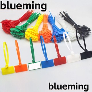 Blueming2 ป้ายแท็กพลาสติกไนล่อน มีซิปล็อคในตัว สําหรับผูกสายเคเบิล 100 ชิ้น