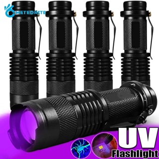 ไฟฉาย UV ขนาดเล็ก 365 395nm / ไฟฉายอัลตราไวโอเลต LED ซูมได้ / โคมไฟตรวจสอบแสงสีม่วง / เครื่องมือตรวจจับคราบปัสสาวะ