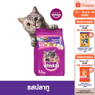 WHISKAS วิสกัส จูเนียร์ อาหารลูกแมว, 1.1 กก. อาหารแมว ชนิดแห้ง สำหรับลูกแมว อายุ 2–12 เดือน