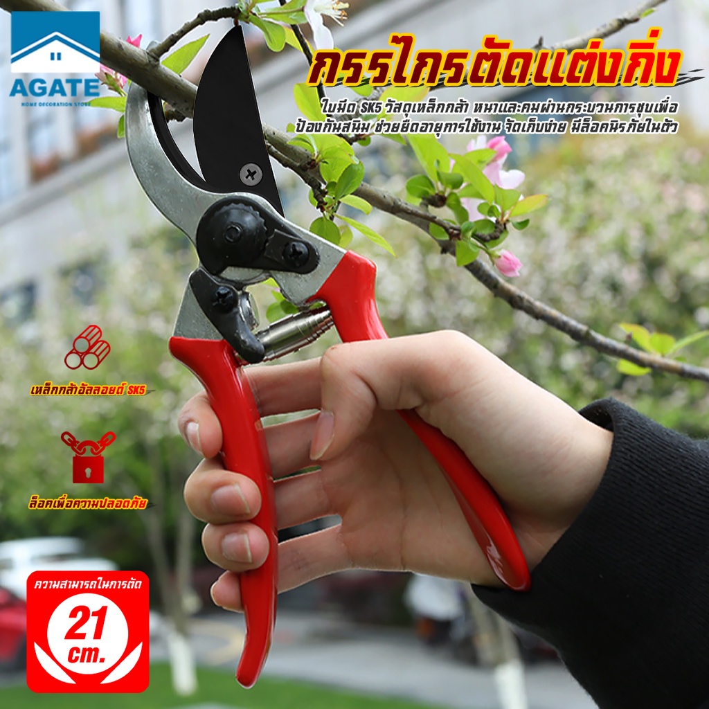 ✂️กรรไกรตัดกิ่งไม้ กรรไกรตัดหญ้า แต่งสวน กรรไกรตัดกิ่ง