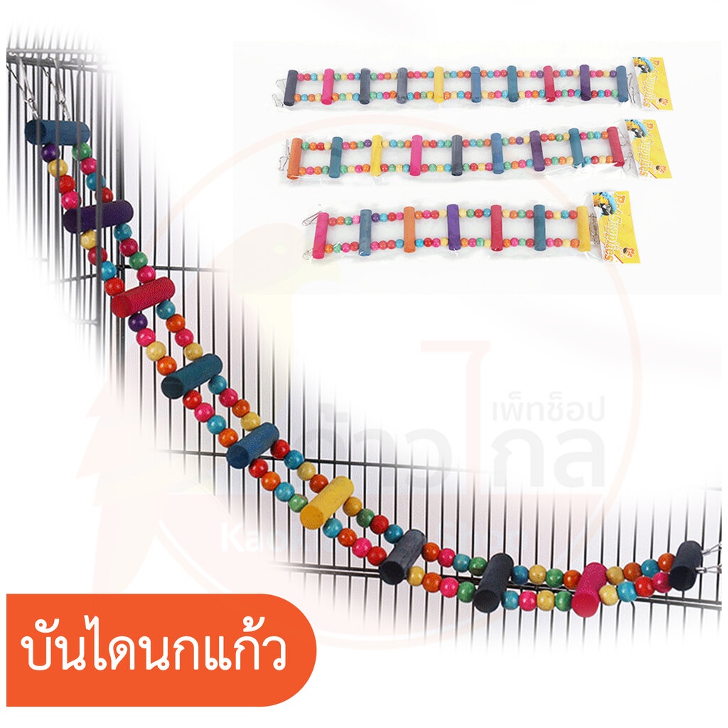 บันไดนกแก้ว ของเล่นนกแก้ว นกแก้วขนาดเล็ก บันไดของเล่นหลากสี
