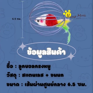 HM-ลูกบอลของเล่น ของเล่นแมว ลูกบอลหนูสำหรับแมว WQ-5