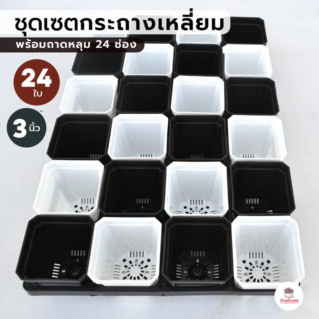 ชุดเซตกระถางเหลี่ยม 3 นิ้ว ( 7 x 5 x 7.8 ซม. ) 24 ใบ พร้อมถาดหลุม 24 ช่อง