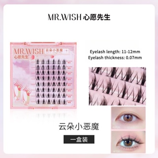 Mr. Wish ขนตาปลอม ลิตเติ้ลเดวิล ขนตาปลอม ดัดลอนเป็นธรรมชาติ