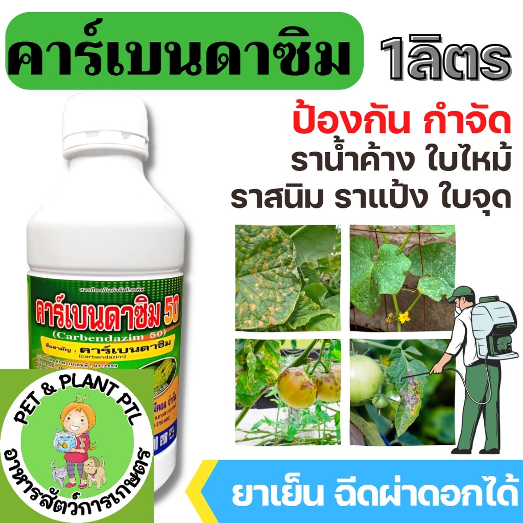 [1ลิตร] คาร์เบนดาซิม คาเบนดาซิม carbendazim 50% SC ป้องกันกำจัดโรคเช่น โรคใบไหม้โรคกาบใบแห้ง โรคใบจุดสีน้ำตาล โร