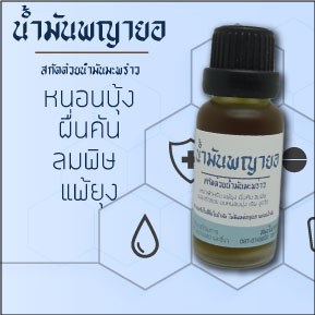 20cc พญายอ หรือ เสลดพังพอนตัวเมีย ในน้ำมันมะพร้าว