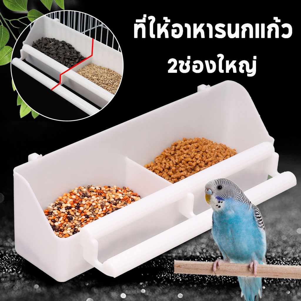 ที่ให้อาหารนกแก้ว ถ้วยพลาสติก2ช่องใหญ่ ใส่อาหาร น้ำ พร้อมที่ยืน