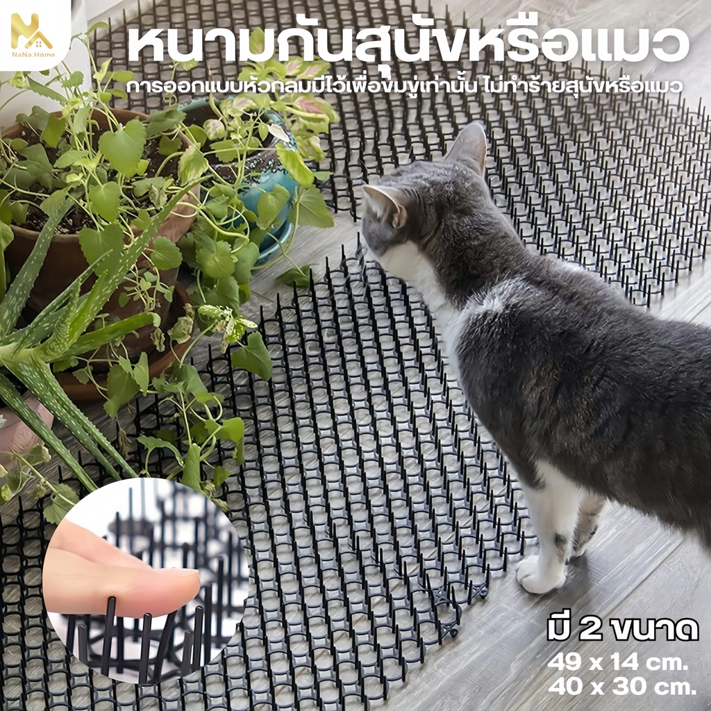 พร้อมส่ง ที่กันแมว ปลอดภัย ที่ไล่แมว หนามกันแมว แผงกันแมว ไล่แมว หนามไล่แมว ไล่แมวไม่ให้ขั้นรถ