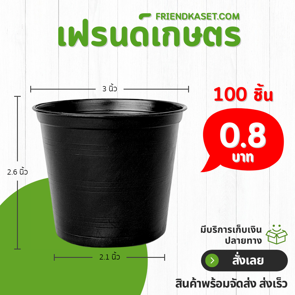 กระถาง กระถางต้นไม้ กระถางพลาสติก เบอร์ 3 นิ้ว สีดำ 100 ใบ ยกมัด