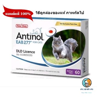 Antinol แมว อาหารเสริม ลดอักเสบ บำรุงข้อ หมดอายุ  4/2024